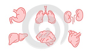 Set of human internal organs like brain, kidneys, lungs, liver, heart and stomach, simple pink medical icons isolated on