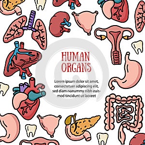 Set of human internal organs for surgeries and transplantation with text block.