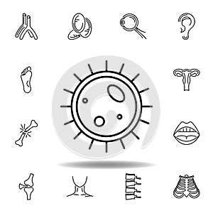 set of human organs big cellule outline icon. Signs and symbols can be used for web, logo, mobile app, UI, UX photo