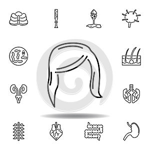 set of human organs female hair outline icon. Signs and symbols can be used for web, logo, mobile app, UI, UX