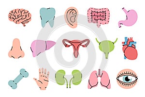 Set of human organs symbol. Brain, tooth, ear, intestines, stomach, nose, liver, reproductive system, heart, bone, hand