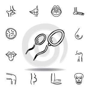 set of human organs two spermatozoon outline icon. Signs and symbols can be used for web, logo, mobile app, UI, UX