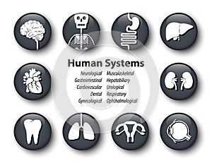 Set of human systems icon . Round glass cover design . Vector