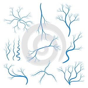 Set of human veins or vessel, blue capillaries, arteries, eye vein. Blood system icon