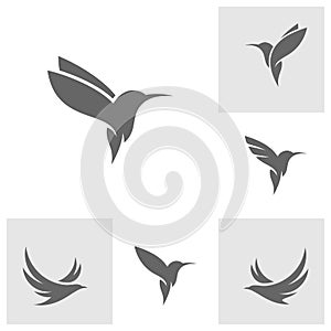 Set of Hummingbird logo design vector template, Bird logo for modern business, simple minimalist and clean design photo
