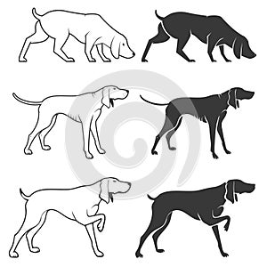 Set of hunting dogs illustrations.