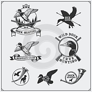 Set of hunting labels and emblems with wild duck.