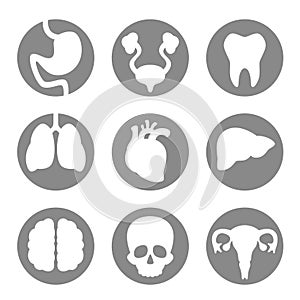 Set of icon internal organs