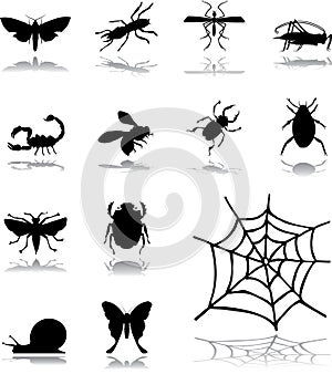 Set icons - 160. Insects