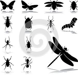 Set icons - 24. Insects