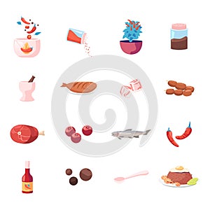 Set of Icons Food and Condiments Red Hot Chilli Pepper, Allspice, Mortar and Fried Fish, Ice Cubes
