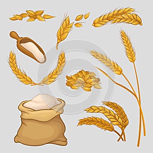 Set of icons with golden wheat ears, dried grains, flour in linen sack and wooden scoop. Organic agricultural crop