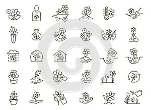 Set of icons. Growing flowers. Seedling shoots. Agriculture and gardener. Biotechnology floret plants. Sowing seeds