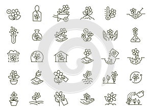 Set of icons. Growing flowers. Seedling shoots. Agriculture and gardener. Biotechnology floret plants. Sowing seeds photo