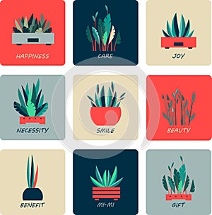 Set of icons of indoor flowers