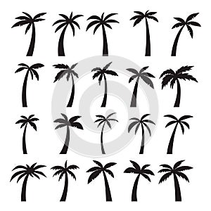 set of the icons of palm trees illustration isolated on white background. Design elements for logo, label, emblem, sign