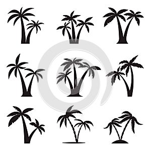 set of the icons of palm trees illustration isolated on white background. Design elements for logo, label, emblem, sign