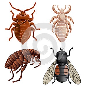 Set of icons with pests