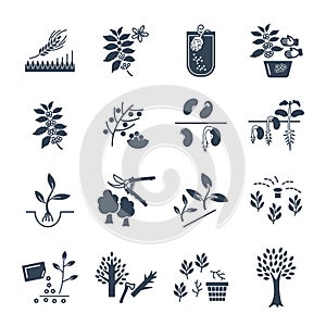 Set of icons plant, herb, grower, coffee, beans