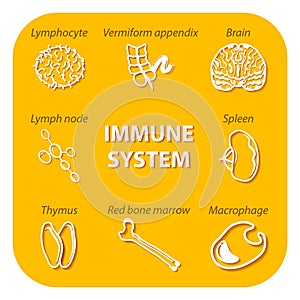 Set icons with shadow. Human Immune system