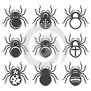 Set of icons of spiders with a different color pattern. Isolated vector on white background.