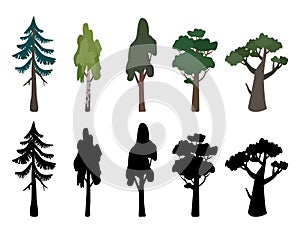 Set of icons of trees birch, oak, spruce and their silhouette