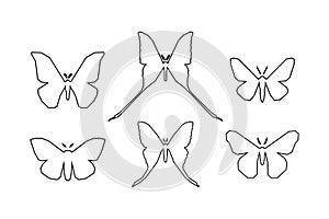 Set of icons of various moth isolated on white