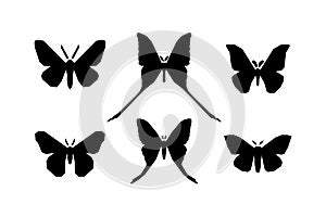 Set of icons of various moth isolated on white