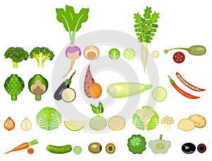 A set of icons of vegetables of different species.