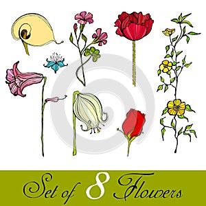 Set of illustrated cute flowers