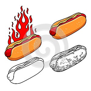 Set of illustration of hot dog with sausage. Fast food. Design element for poster, menu, banner, sign.