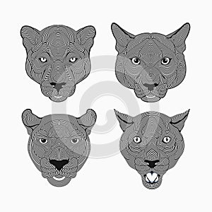 Set of  illustration jaguar head  black and white color