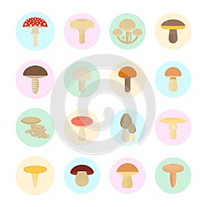 Set Vector Illustration of Mushrooms