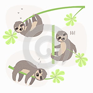 Set illustration of a sloth hanging on branch