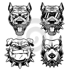 Set of Illustrations of angry dog heads in monochrome style. Design element for logo, emblem, sign, poster, card, banner