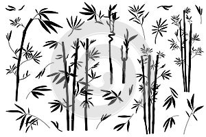 Set of illustrations of bamboo, leaves and branches, silhouette