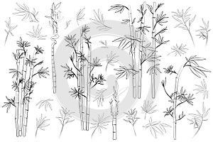 Set of illustrations of bamboo, line art, leaves and branches, silhouette