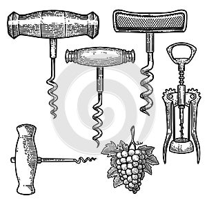 Set of Illustrations of corkscrew in engraving style. Design element for poster, card, banner, sign.