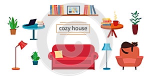 Set illustrations furniture for cozy home. Sofa, bookshelf, lamp and armchair