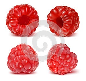 Set illustrations of ripe raspberries.