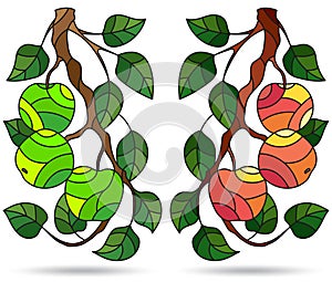 A set of illustrations of stained glass Windows with tree branches, Apple tree branch with ripe fruit and leaves