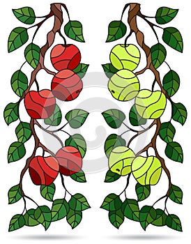 A set of illustrations of stained glass Windows with tree branches, Apple tree branch with ripe fruit and leavesound