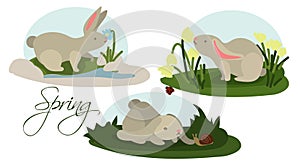 A set of illustrations for the three months of spring with rabbits in different situations. Pictures for children's
