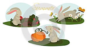 A set of illustrations for three months of summer with rabbits in different situations. Pictures for children's