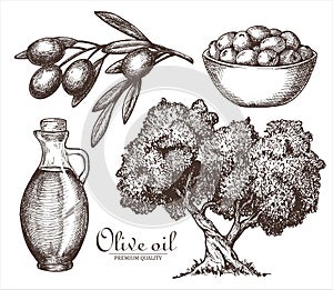 Set of illustrations tied with olives in vintage style.