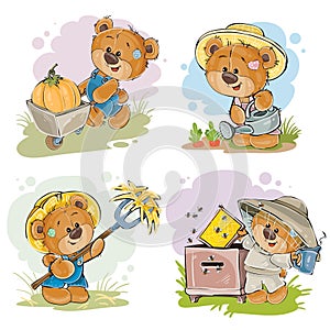 Set of illustrations of vector of teddy bear beekeeper, farmer.