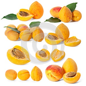 Set of images of apricot on a white background. Full depth of field