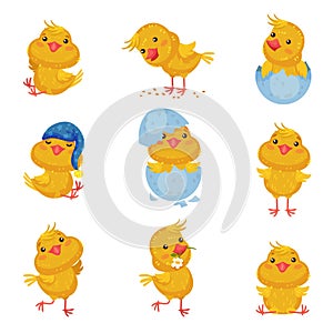 Set of images of cute chickens in different situations and with different objects. Vector illustration on white