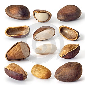 Set of images of whole and split pine nuts on a white background. Full depth of field