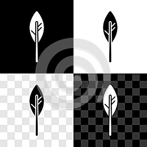 Set Indian feather icon isolated on black and white, transparent background. Native american ethnic symbol feather